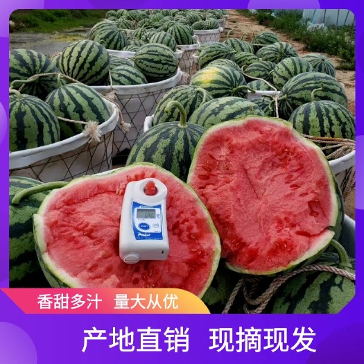 阜宁县江苏盐城阜宁产地直发新鲜有籽麒麟瓜现摘现发西瓜甜爽多汁