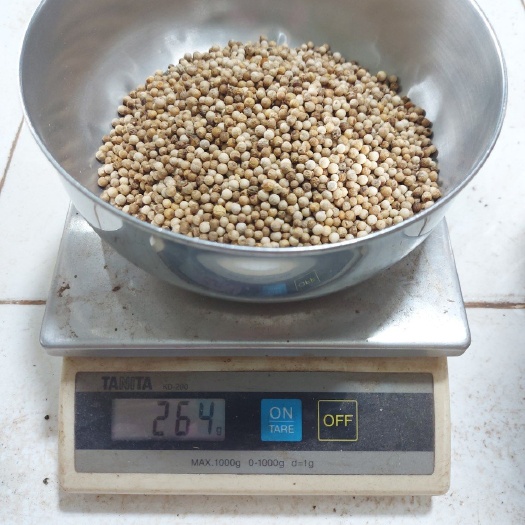 青岛越南白胡椒，规格至少630g/L。