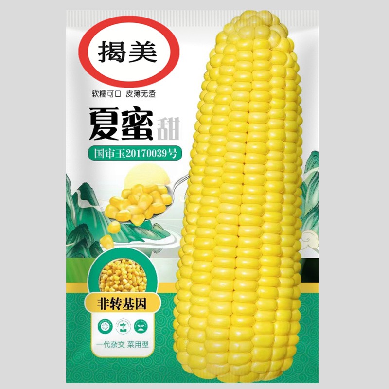 祁东县鲜食夏蜜甜水果玉米种子 国审玉米 杂交种 量大从优