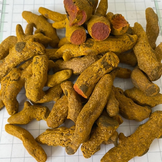 玉林姜黄 姜黄只 姜黄粉 食用着色香料姜黄  香料一站式批发