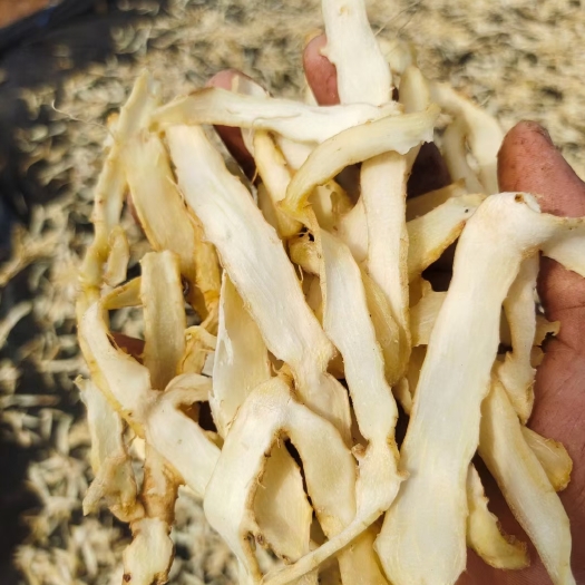 桂阳县湘玉竹