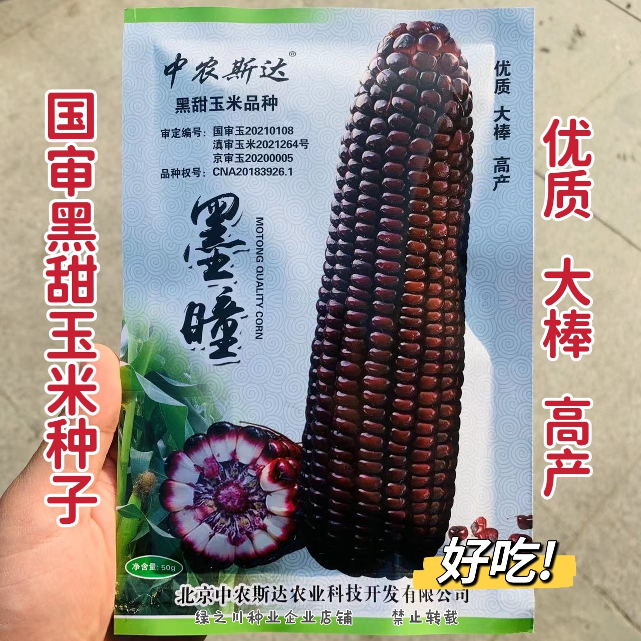 沭阳县中农斯达国审鲜食黑甜玉米种子 大棒墨瞳黑玉米种子优质南北方播