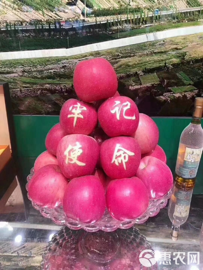 静宁片红秦冠