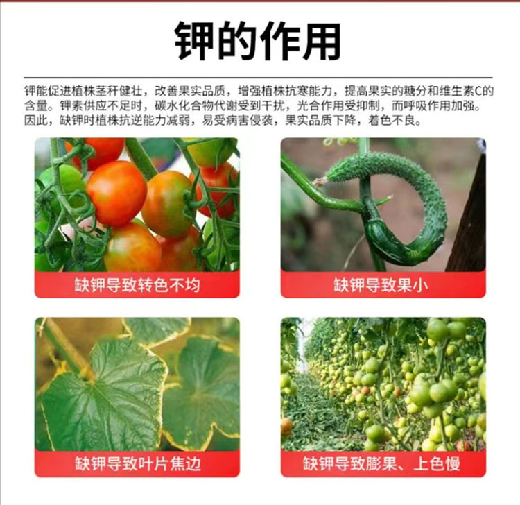 奥丰膨果上色钾膨大果实促转色增甜增产叶面肥果树蔬菜