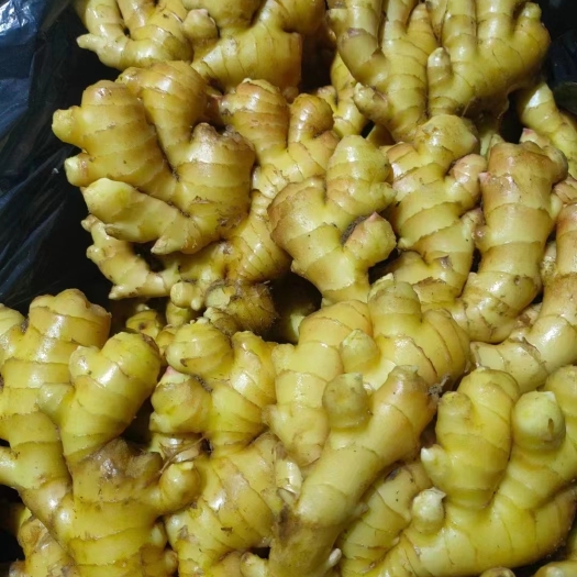 沂水县[推荐]小黄姜，块头大， 颜色好， 味道足，耐储存，全国发货