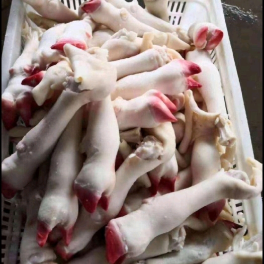 金乡县羊蹄