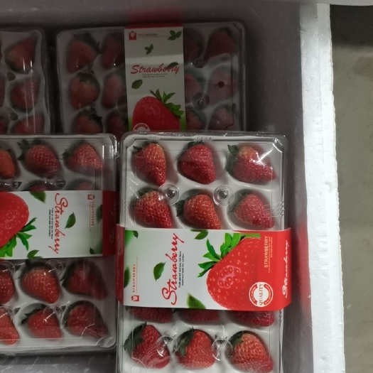 东港市250克胶盒