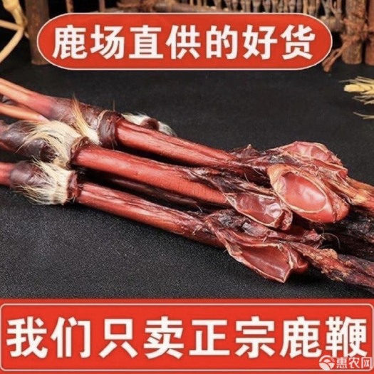 长春（养精固肾）鹿鞭整枝干品 礼盒包装泡酒料男性滋补品包邮