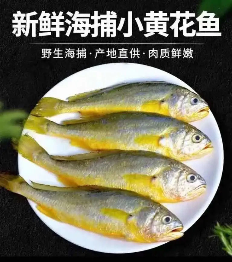 舟山近海新鲜冰冻小黄鱼黄花鱼有袋装有盒装对接食堂餐饮店