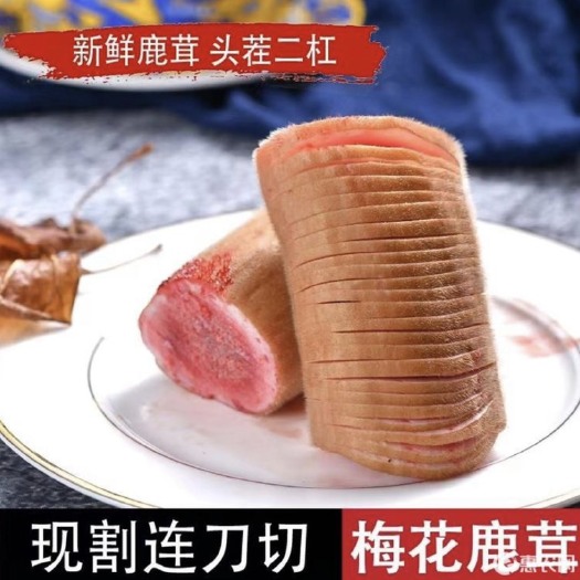 长春梅花鹿鲜鹿茸二杠