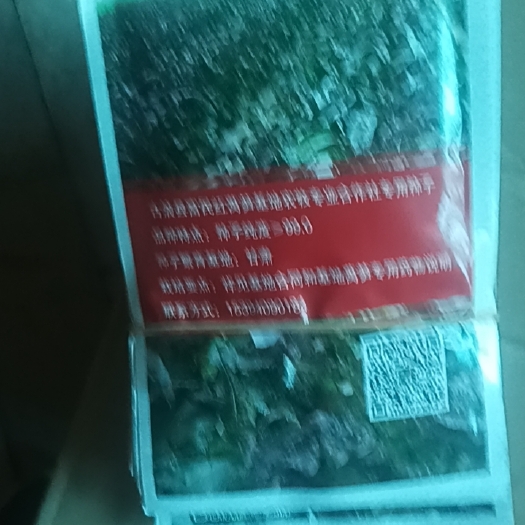 古浪县绿洲满地红