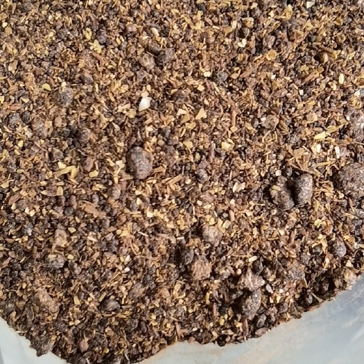 蚌埠烘干木薯渣
