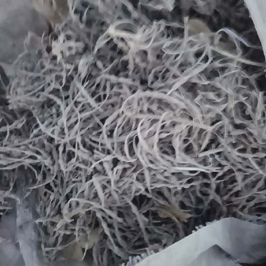 和静县苦豆子—成品净货，卖家包运费