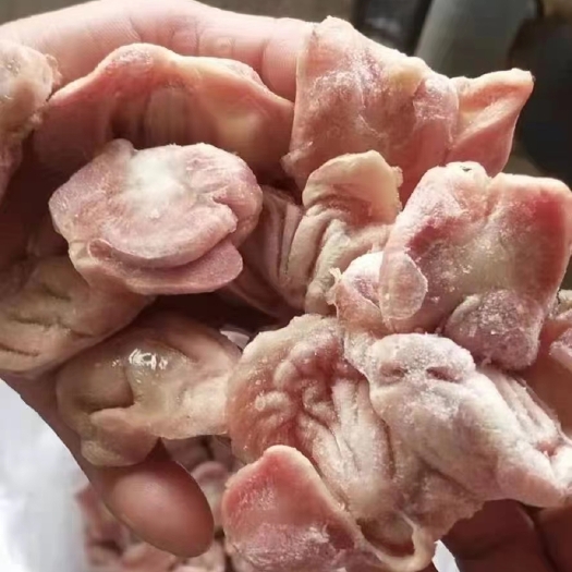 莘县817各种规格鸡胗