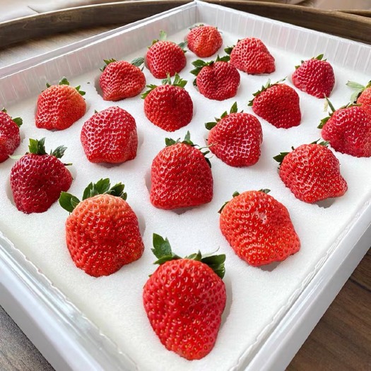 红颜草莓99新鲜牛奶油甜5斤大果顺丰包邮当季水果丹东礼盒