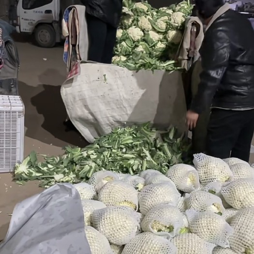 邯郸花菜实