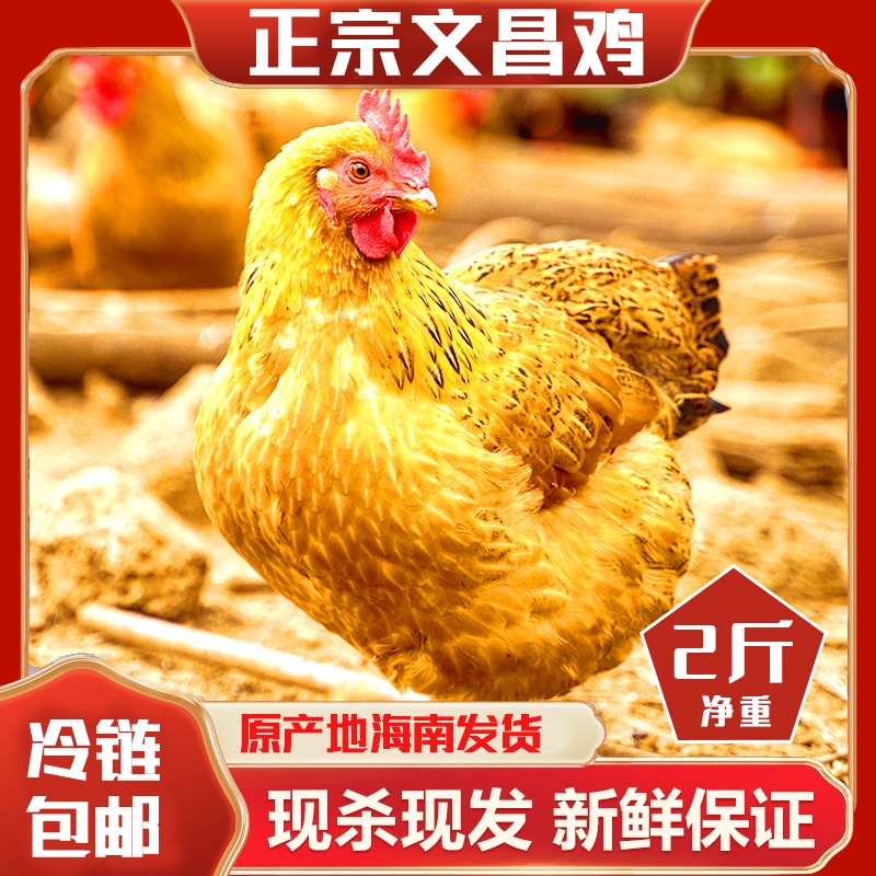 深圳文昌鸡，椰子水