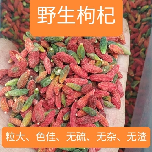 中宁县花枸杞 宁夏枸杞，自然晾干，煲汤泡茶