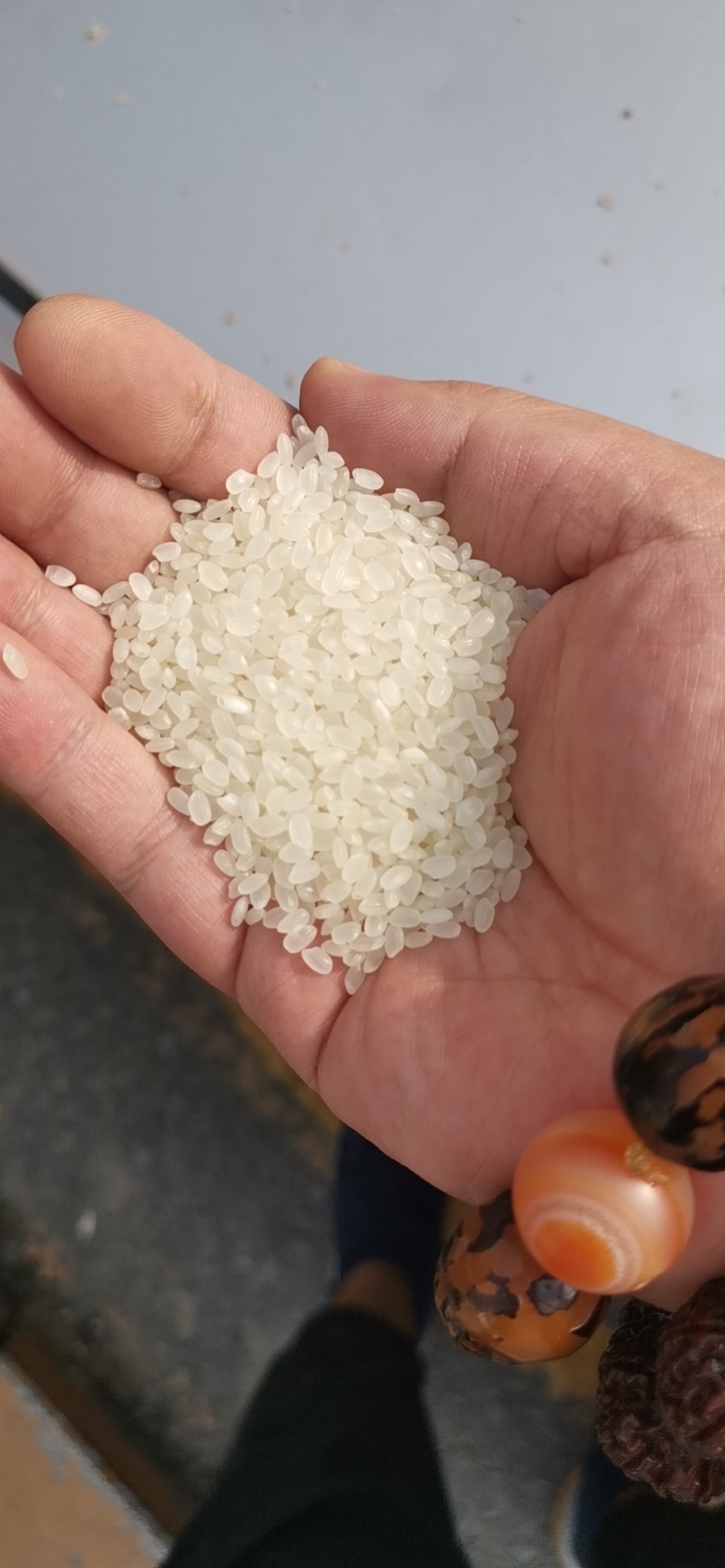 珍珠米，黑龙江原产地，米白无异味，口感香甜软糯！
