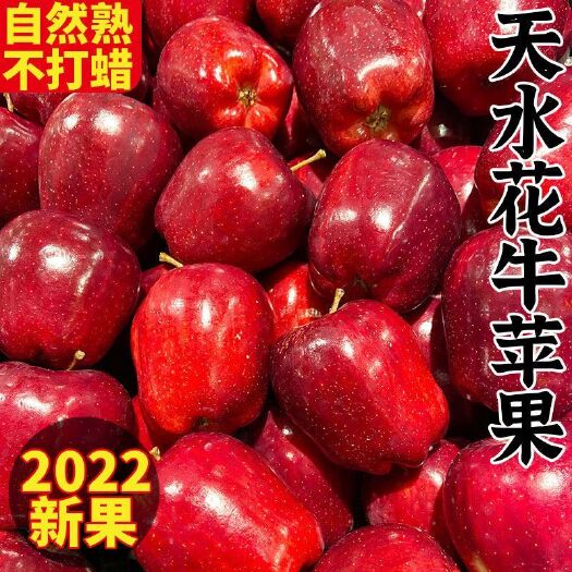 武山县甘肃天水花牛苹果大果粉面新鲜苹果