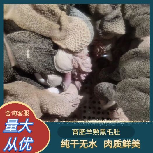 育肥羊熟黑毛肚纯干无水发没有填加剂全熟