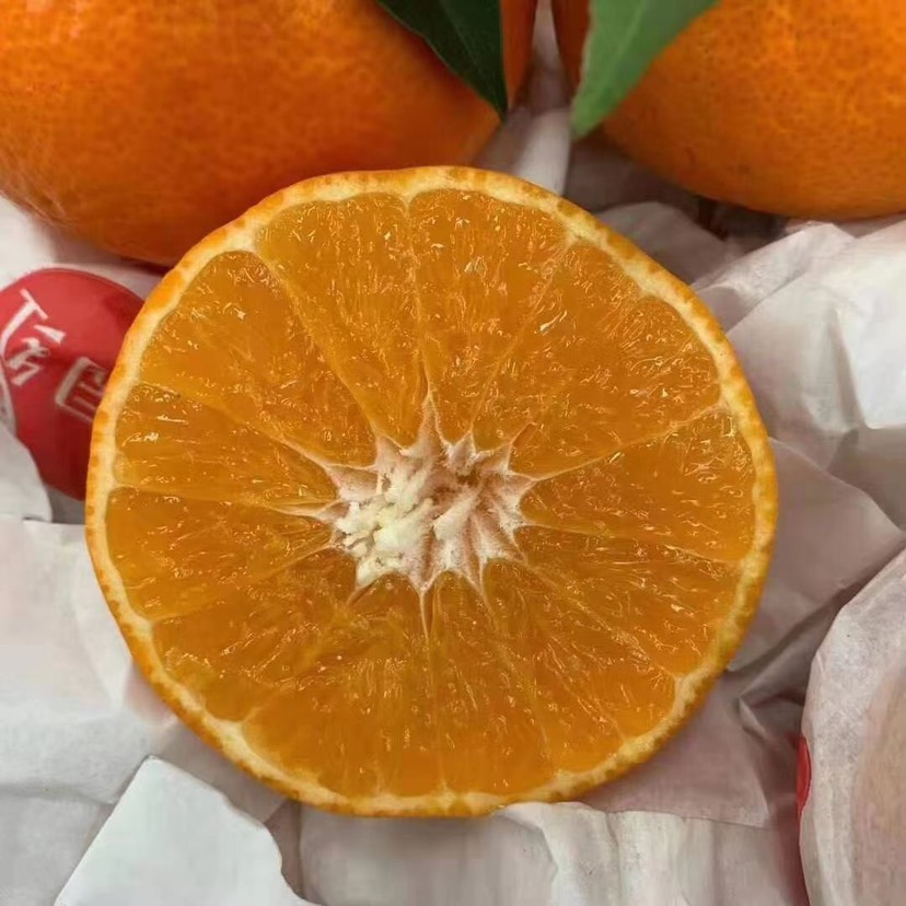 四川爱媛38号果冻橙 柑橘桔子 新鲜水果 精选水果团批发
