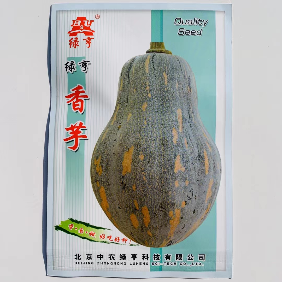 沭阳县香芋南瓜种子优质杂交品种单个2－4斤左右口感蜜糯