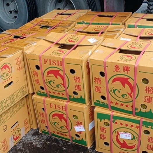 广州泰国金枕榴莲   越南干尧榴莲