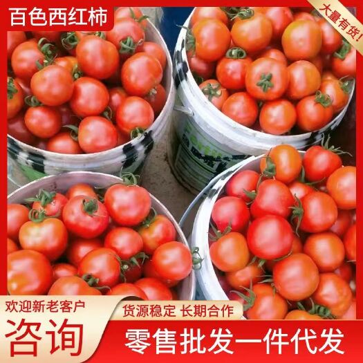 百色广西百色市大西红柿，对接市场，
电商，期团购。货源充足，