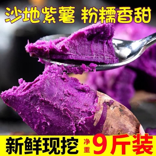 【新鲜紫薯】新鲜沙地紫薯番薯粉糯香甜板栗红薯地瓜蜜薯蔬菜批发