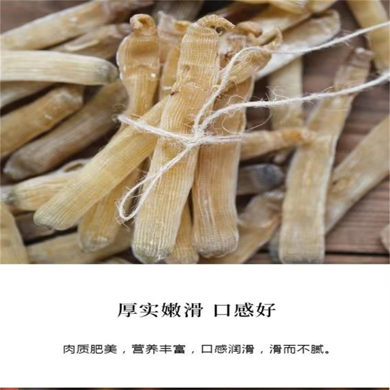 特级大号沙虫干50g海南特产天然海鲜干货海肠子煮粥送礼佳
