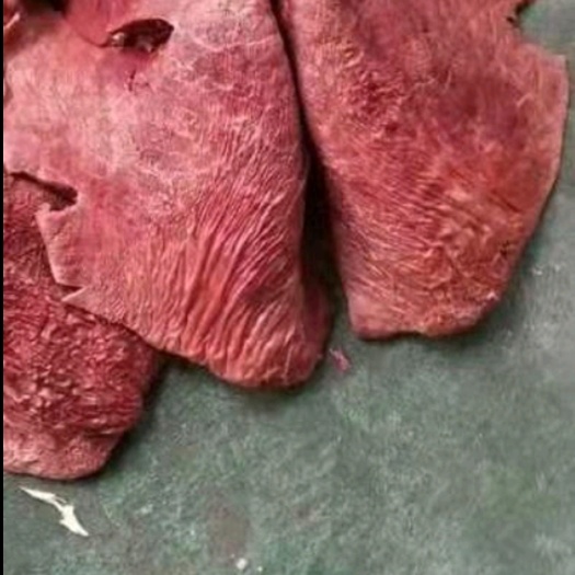 大厂县清真全熟牛肺，纯大公牛的，纯干货