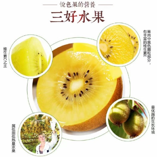 猕猴桃果园直发（有黄心，红心，绿心猕猴桃）