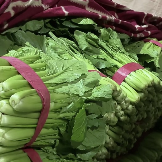 邯郸小白菜