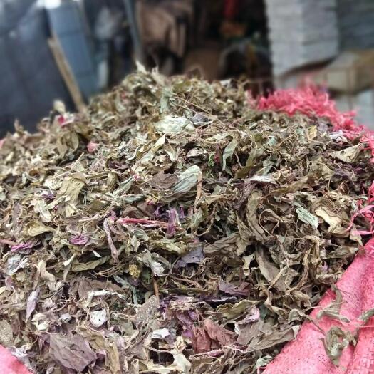 金平县风柜斗草  干货 深林深非人工种植水洗干货