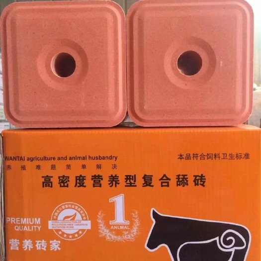 海兴县牛羊舔砖