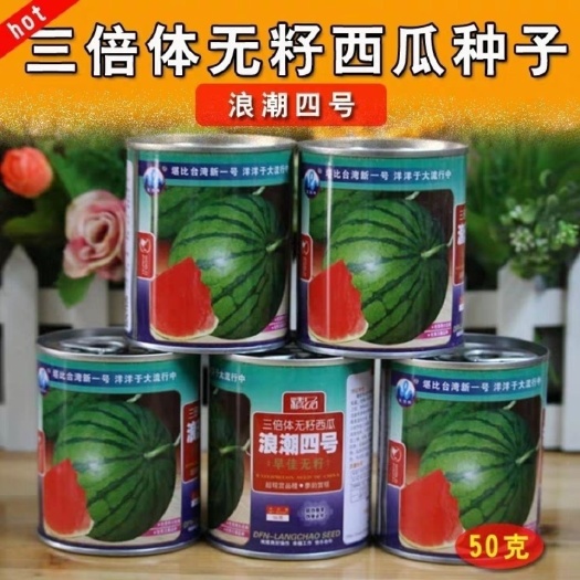 浪潮四号西瓜种子红瓤三倍体无子中熟花皮大果型春季优良无籽