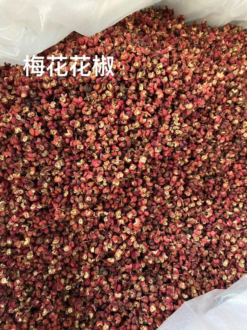 花椒  梅花花椒 大红炮花椒 普通泡脚花椒 各种调味香料批发