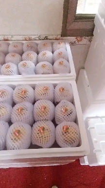 陆良县精品人参果