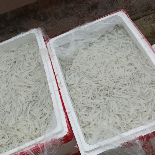 清镇市银鱼（5-7）冰鲜，冻板都有