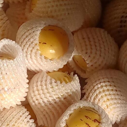 陆良县精品人参果