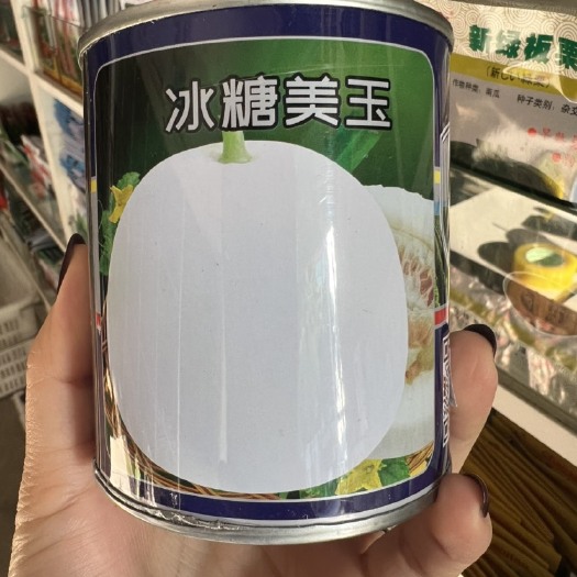 华容县超甜白沙蜜甜瓜种籽春秋季薄皮白皮冰糖美玉香瓜种子四季水果种孑