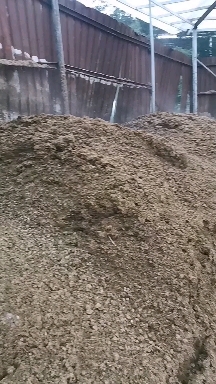 龙门县干湿分离牛粪肥