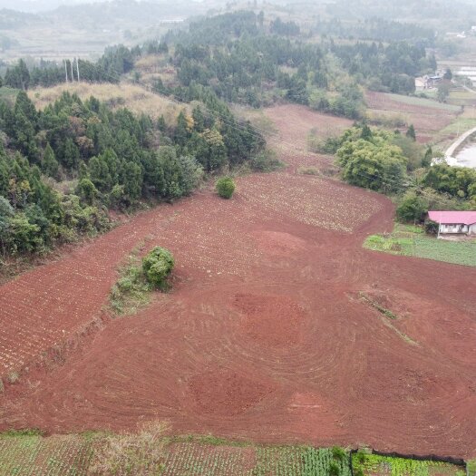 遂宁土地出租，村集体产业转型土地出租