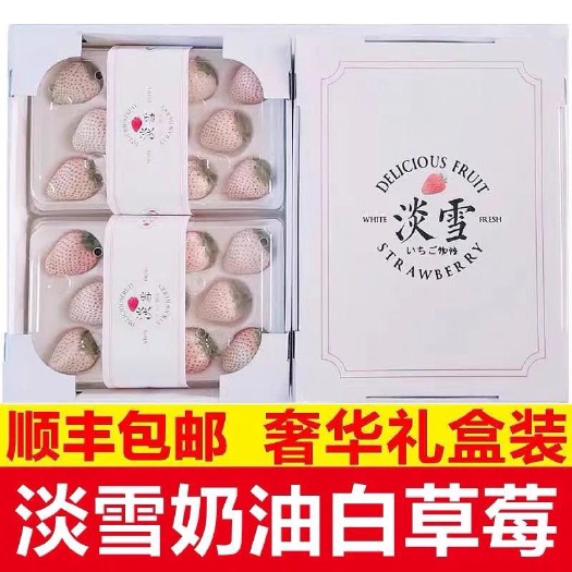 青岛淡雪白色恋人白草莓礼盒天使非日本当季水果产地现摘顺丰包邮