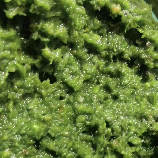 纯正锡盟韭菜花 纯手工磨制 来自大草原的问候 蘸料好食材