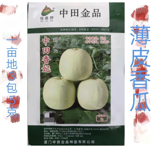 扶沟县中田香妃甜瓜种子苹果型易管理结果多商品性强糖21度高