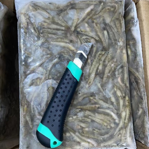 广州干货山坑鱼一手货源批发