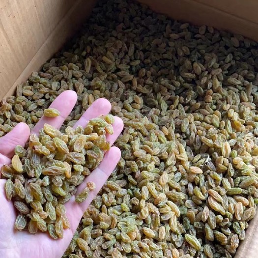 乌鲁木齐绿葡萄干