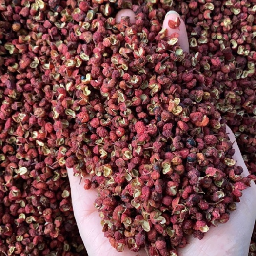 玉林花椒  梅花花椒 大红炮花椒 普通泡脚花椒 各种调味香料批发